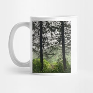 Forest in the rain Mug